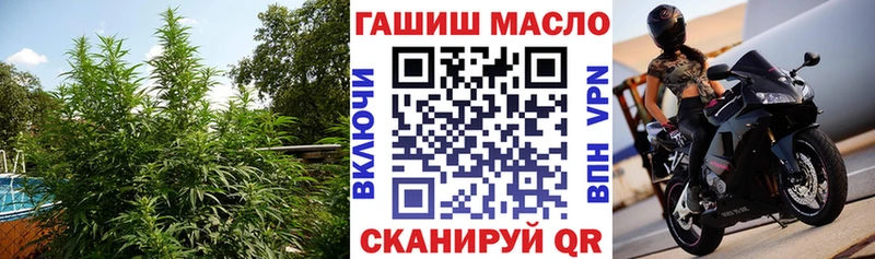 закладка  Эртиль  Дистиллят ТГК вейп 