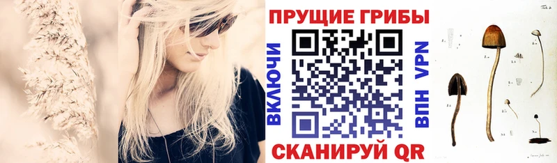 Галлюциногенные грибы мицелий  гидра онион  Эртиль 